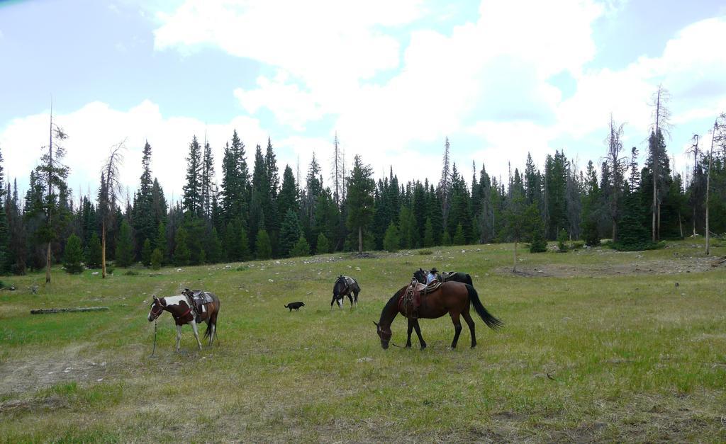 Medicine Bow Lodge Tenmile ภายนอก รูปภาพ